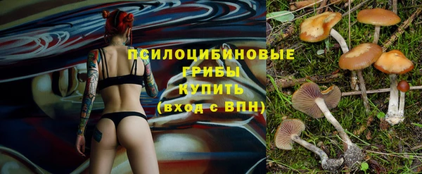 ешки Беломорск