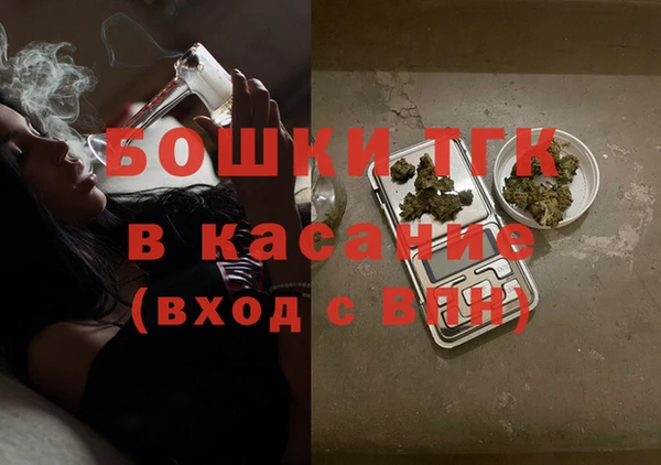 шишки Богородицк