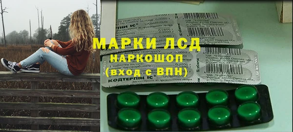 гашик Богданович