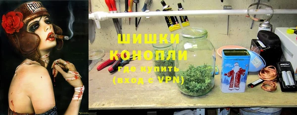 гашик Богданович