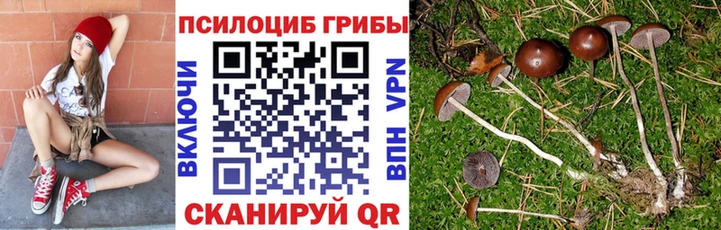 Псилоцибиновые грибы Psilocybe  Кимры 